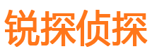 鼎城外遇调查取证